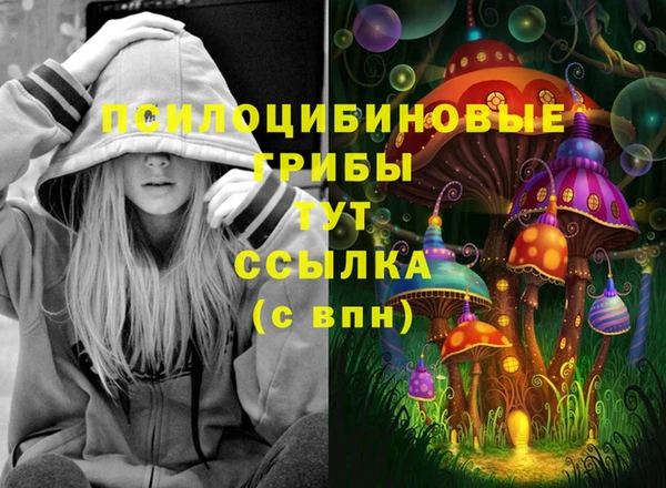 мет Надым